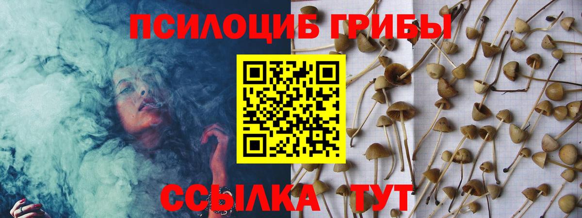 Галлюциногенные грибы Magic Shrooms Когалым